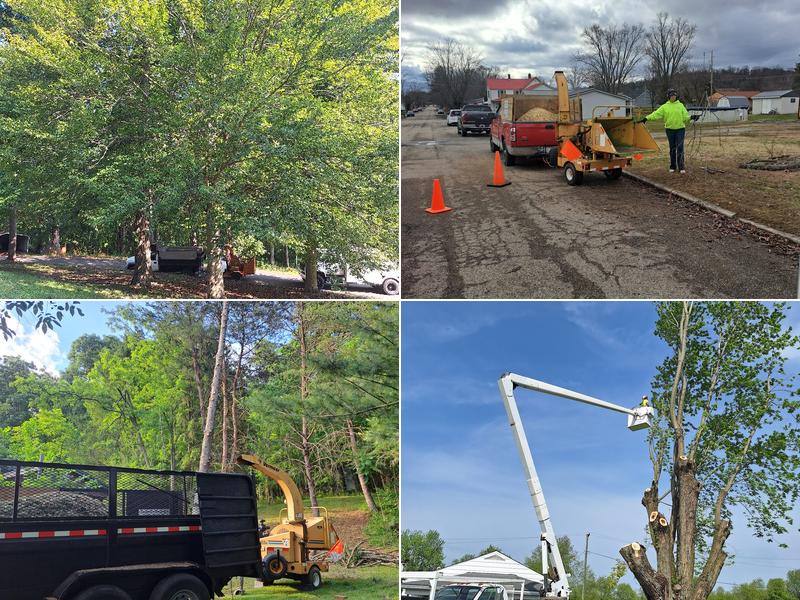 Tackett's hauling and tree service