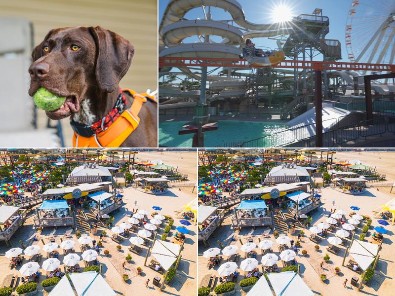 Eckert Productions, LLC