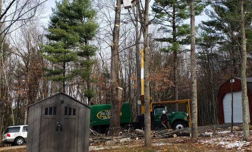 Do Abouts Tree Service 439 Raintree Rd, Hillsville Virginia 24343