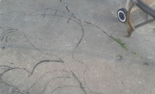 Elkins Brothers Tree Services 1821 N 24th St, Terre Haute Indiana 47804