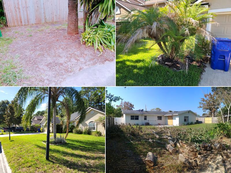 Dynamic Touch Multicare Services LLC