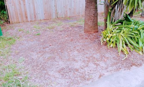 Dynamic Touch Multicare Services LLC 1430 Broad St, Atlantic Beach Florida 32233