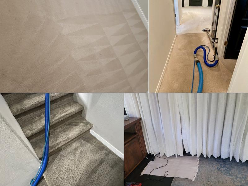 U.I.C Carpet Cleaning Services