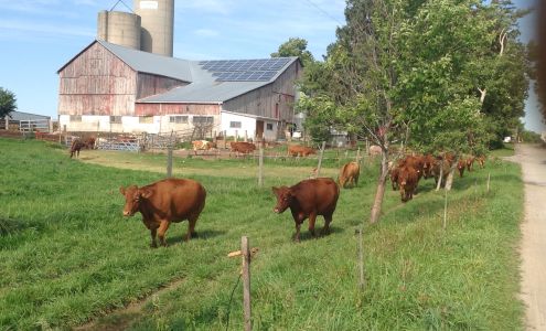 Laepple Organic Farm Petersburg