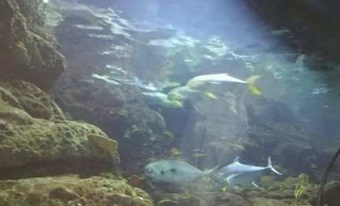 Franciscan Apartments