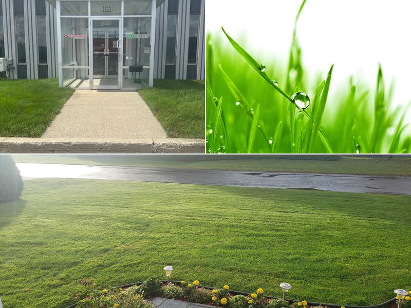 Vertdure | Entretien Pelouse Thetford Mines