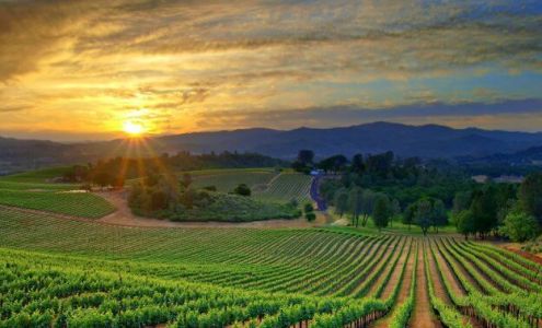 Amanda Guevara - Realtor at Coldwell Banker Realty Rohnert Park