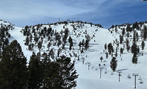 Becky Patterson, RE/MAX Gold-Reno