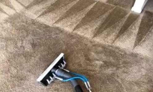 Quality carpet cleaning