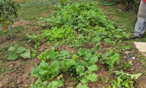 Moore Than Floors LLC