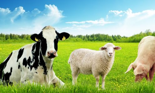 Services Agricoles Fermetech inc. Saint-Narcisse-de-Beaurivage