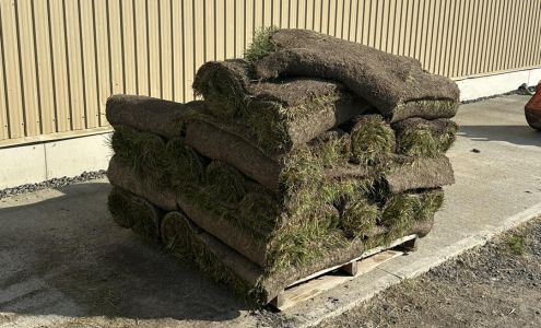 Fleuriste La Pensée d'Isabelle 175 Bd St Benoît E, Amqui Quebec G5J 2C2