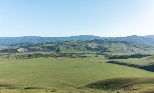 Brigantino's San Benito Realty