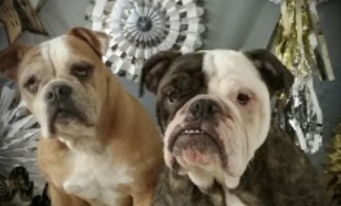 Grooms to Go LLC 1433 E Jackson St #4, Thomasville Georgia 31792