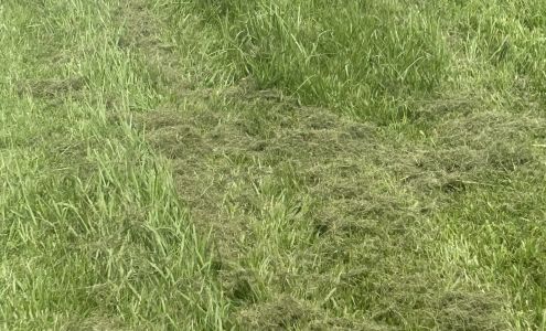 BrightView Landscape