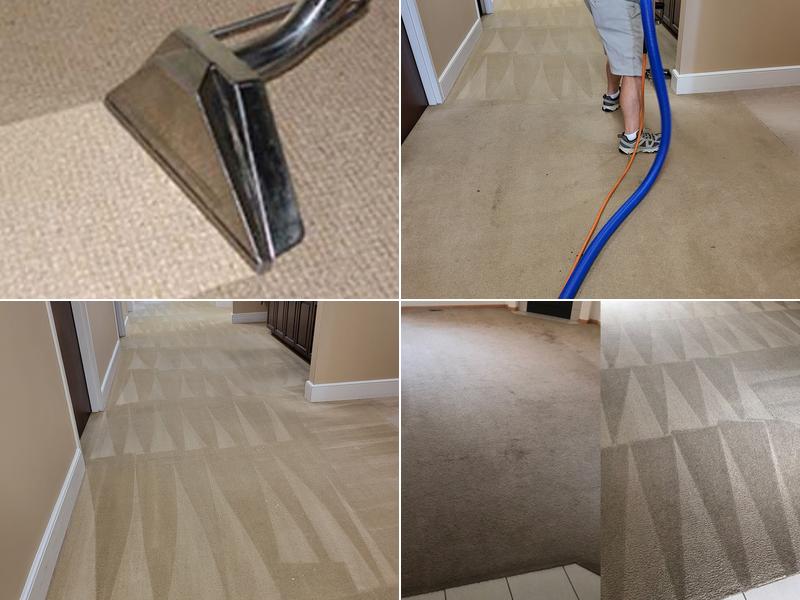 STEAMBURST CARPET CLEANERS, LLC