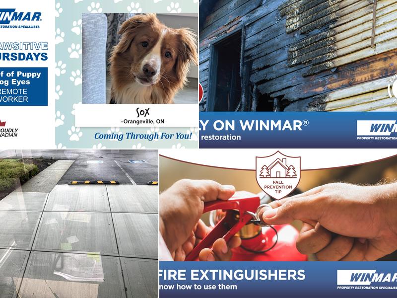 WINMAR Property Restoration Specialists - Nanaimo