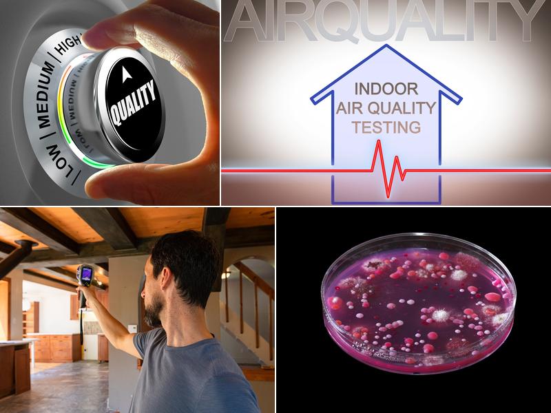 Wright Restorations Mold Inspection & Removal Services