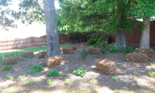 Georgia Custom Stairs