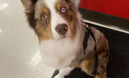 Nana's Pet Grooming 705 W 3rd St D, Tifton Georgia 31794