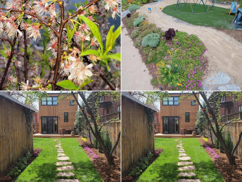 Native Sun Landscaping, LLC