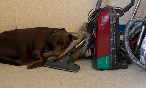 Pro31 Cleaning Solutions, Inc.