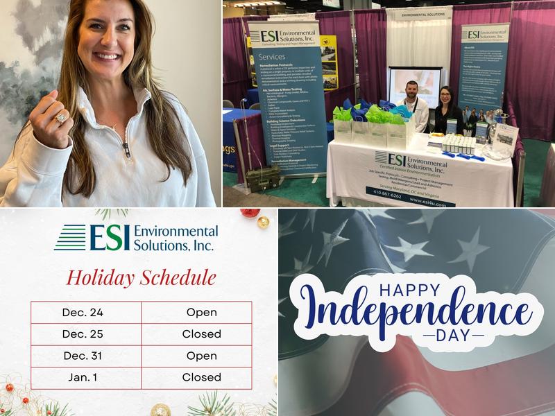 Environmental Solutions, Inc