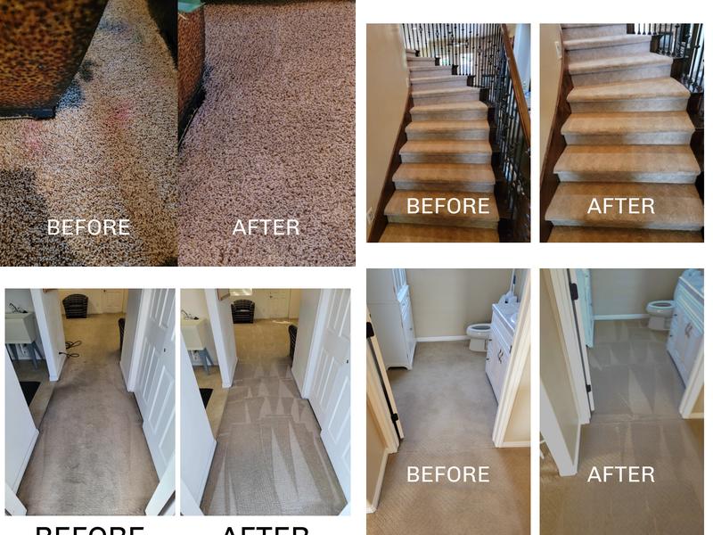 Swift Carpet Cleaning St George