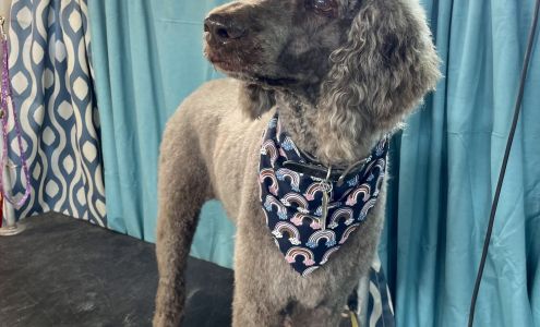 Poochies palace mobile grooming 307 Allen St, North Pekin Illinois 61554