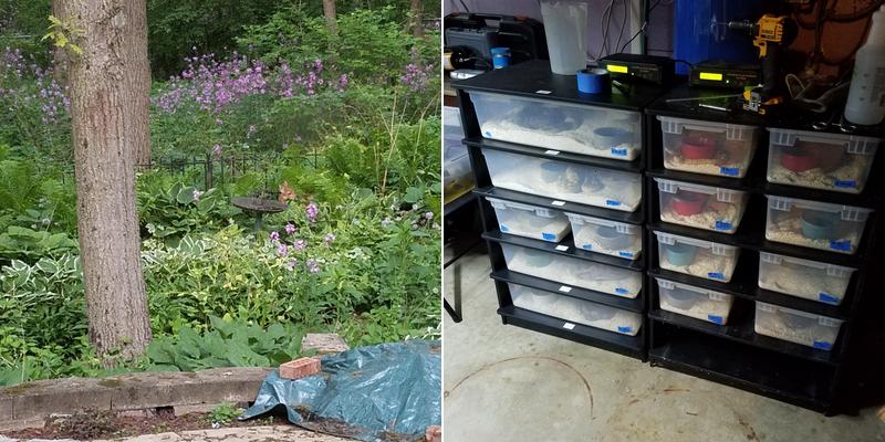 M&W Home Improvement