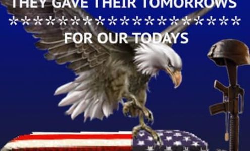 Cleaning Fairies Inc