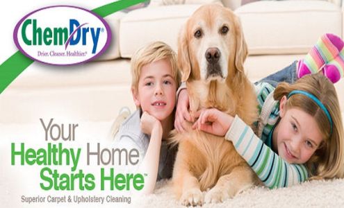 Trillium Chem-Dry Carpet Cleaning 1209 North Service Rd E, Oakville Ontario L6H 1A7