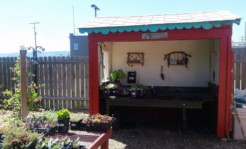 Wyoming Plant Company