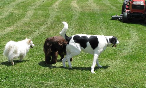 Wellspring Farm LTD 208 Swope Ln, Fairfield Virginia 24435