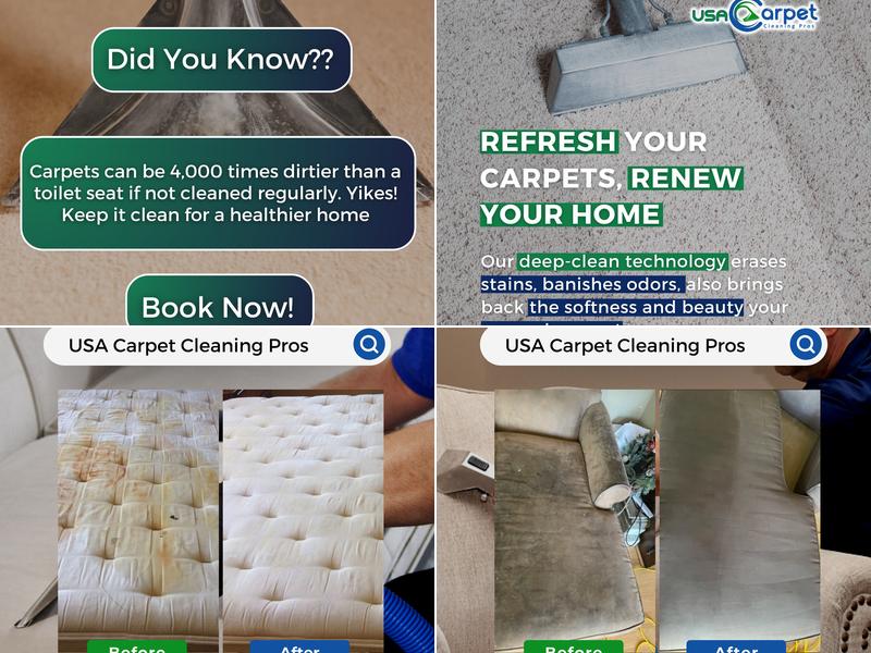 USA Carpet Cleaning Pros - Orland Park-Hills