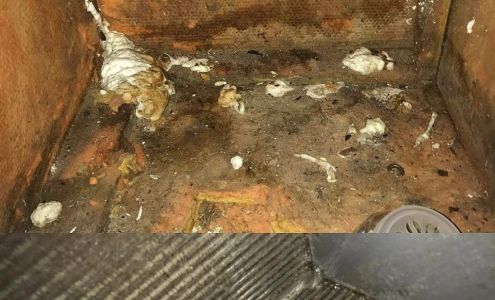 iMold Water Damage & Mold Restoration of Sarasota