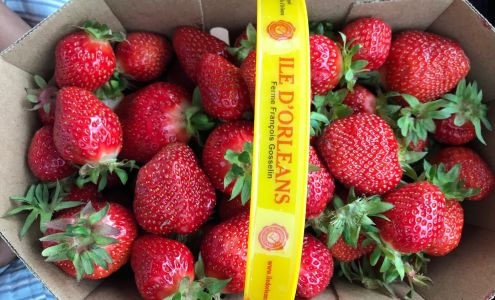 Au Petit Potager Gaetan Savard Sainte-catherine-de-la-jacques-cartier