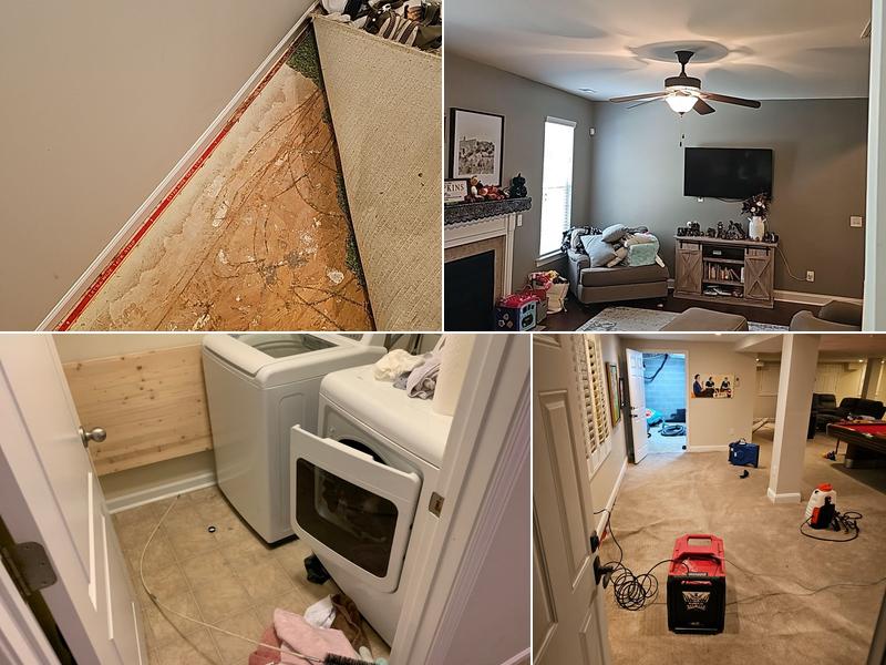 The Water Damage Pros Charlotte