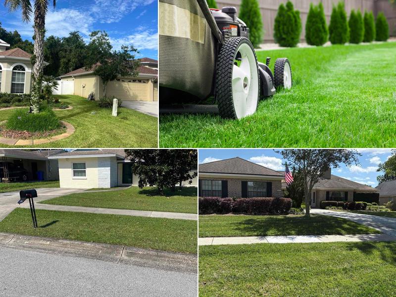 LawnStarter Lawn Care Service