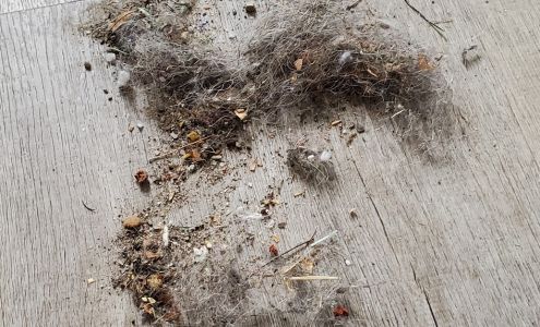 ABC Carpet Cleaning & More