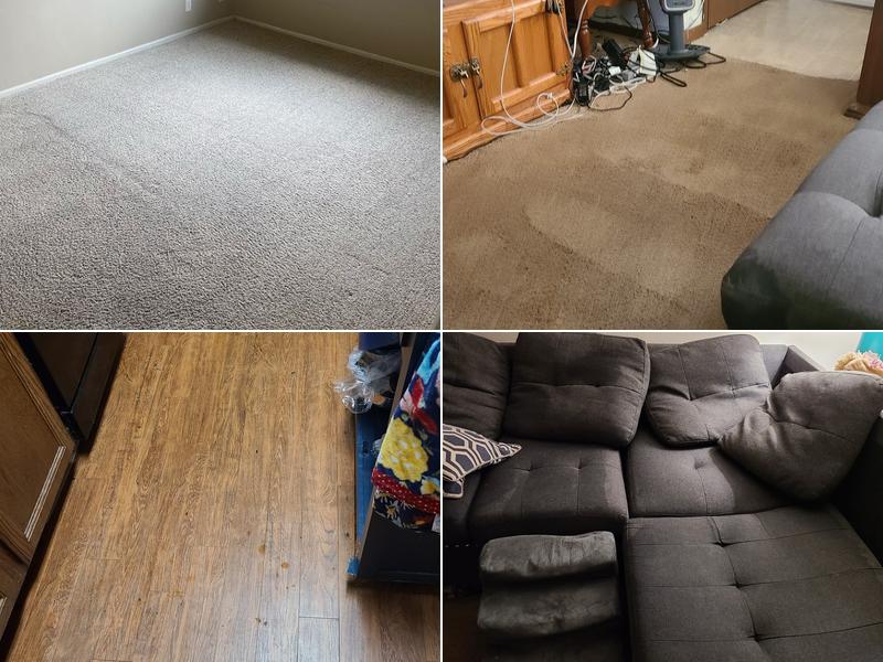 Ecozyme Carpet Clean