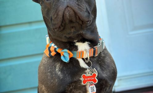 Englehart Animal Hospital 74 4th Ave, Englehart Ontario P0J 1H0