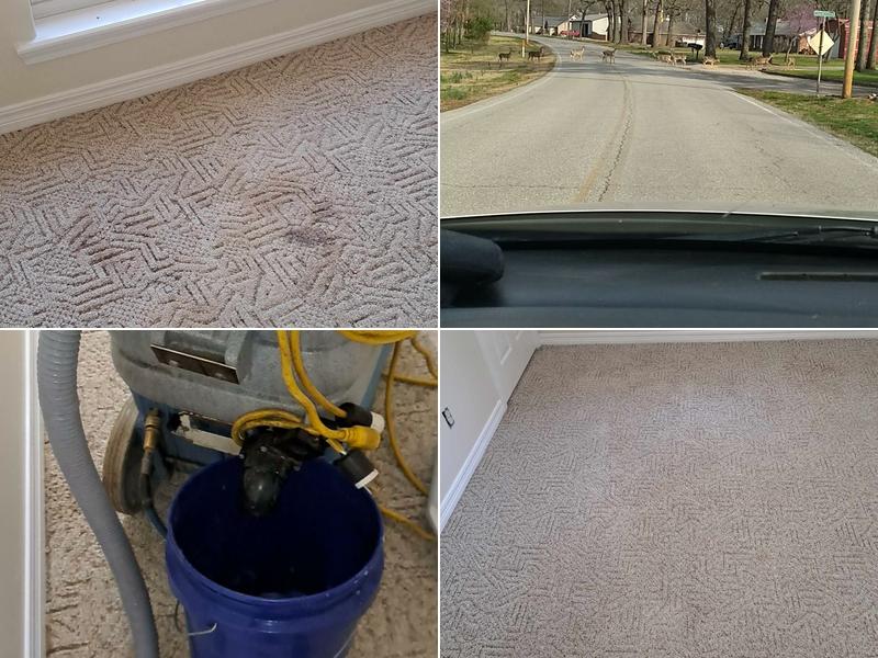 Scott's Carpet and Tile Cleaning