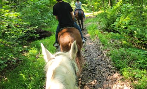 H&M Stables 500 Bob Amos Dr, Pikeville Kentucky 41501