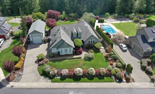 Dandy Lawn and Maintenance