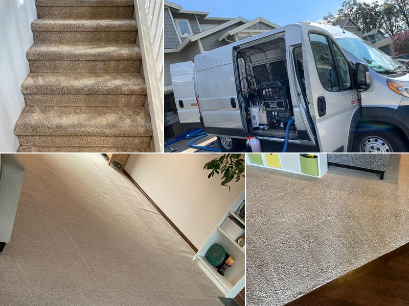 A&g's carpet cleaning