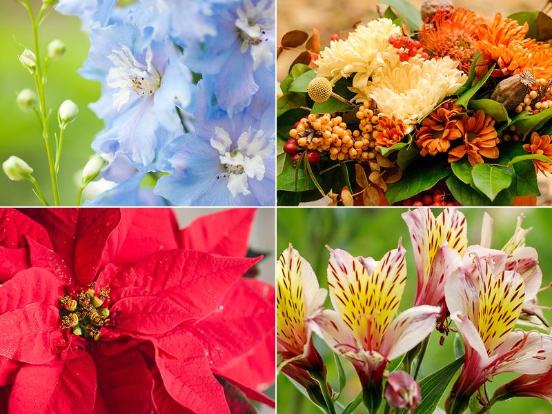 Schnucks Swansea Floral