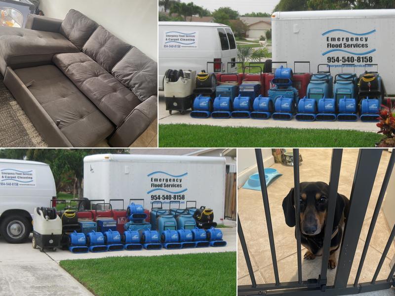 Denny Perreault Carpet Cleaning