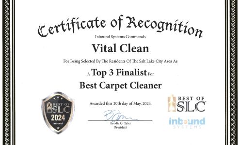 Vital Clean LLC Riverton