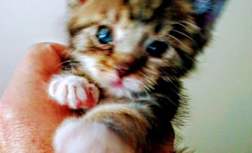 i.d. SPOT Crown Point